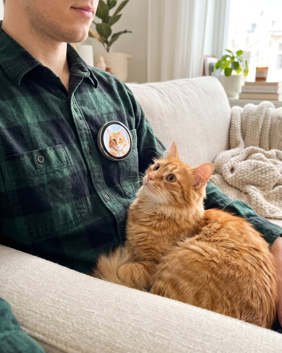 Orange tabby on a man's lap looking up at a Lumipin showing the same cat.