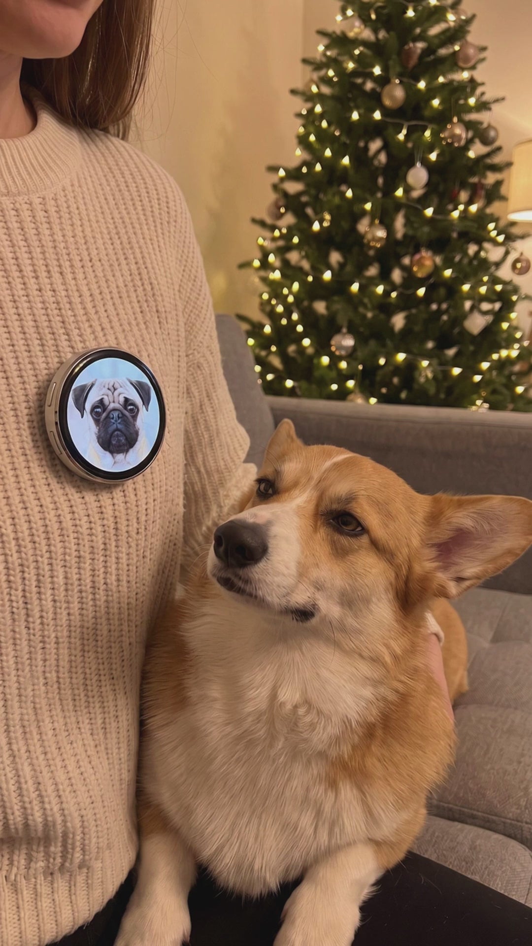 Lumipin: Wear Any Photo or Short Video